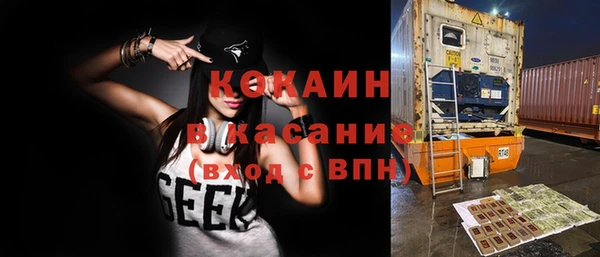 стаф Абаза