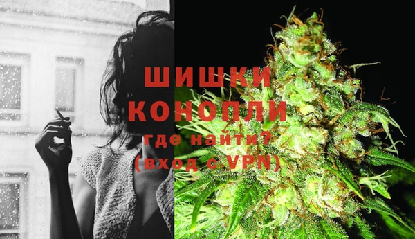 стаф Абаза