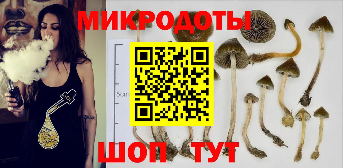 Отрадное  Псилоцибиновые грибы мицелий  Вход с VPN 