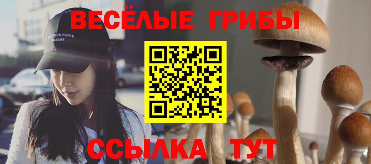 Галлюциногенные грибы мухоморы Отрадное